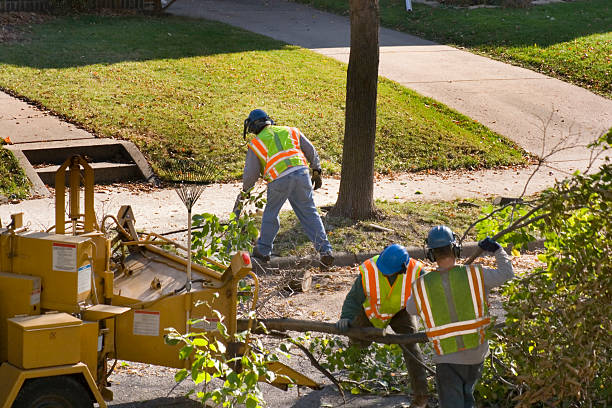 Lawn Watering Services in Silver Summit, UT